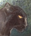 puma.JPG